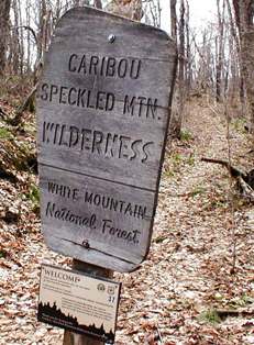 Caribou_Speckled Mountain Wilderness